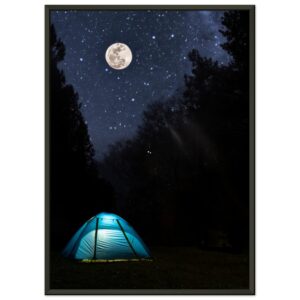 d719ba6e-9502-4caf-ae3a-acd4f63dd0ba